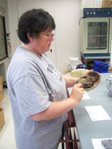 Me with Potential Fossil (Armadillo Shell)