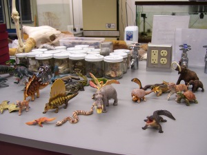 Toy Animals for Scientific Classification Activity